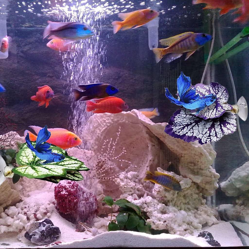 2 Almohadillas de Hoja para Peces Betta con Ventosa 15cm