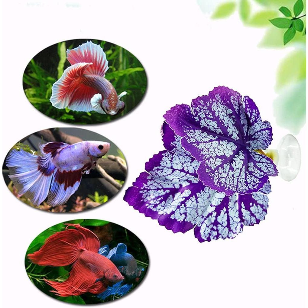 2 Almohadillas de Hoja para Peces Betta con Ventosa 15cm