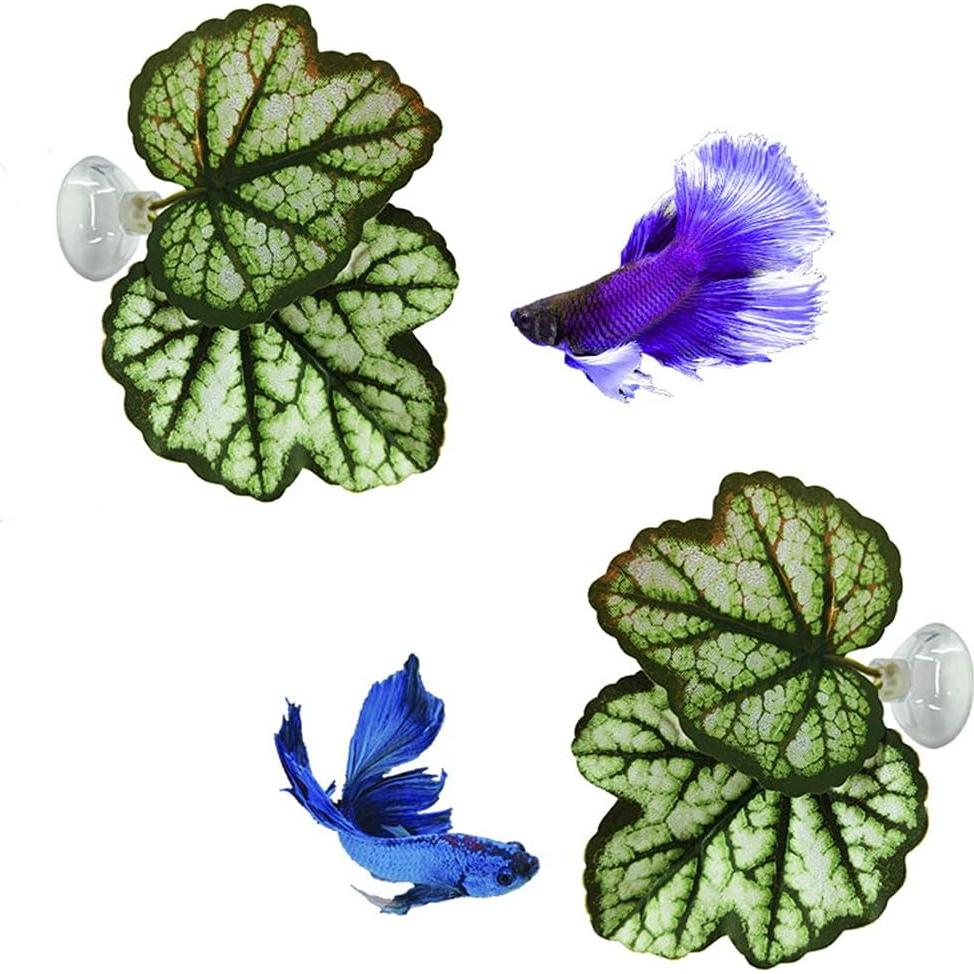 2 Almohadillas de Hoja para Peces Betta con Ventosa 15cm