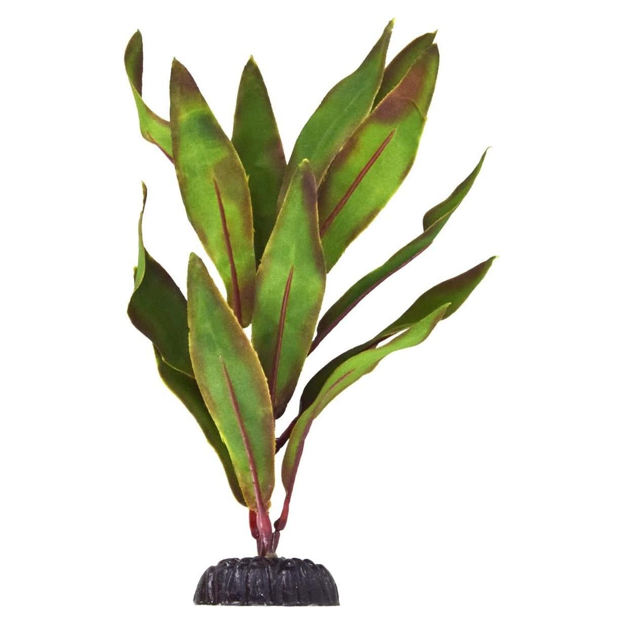 Planta de Acuario Seda Oliva Tesoro Submarino 20 cm