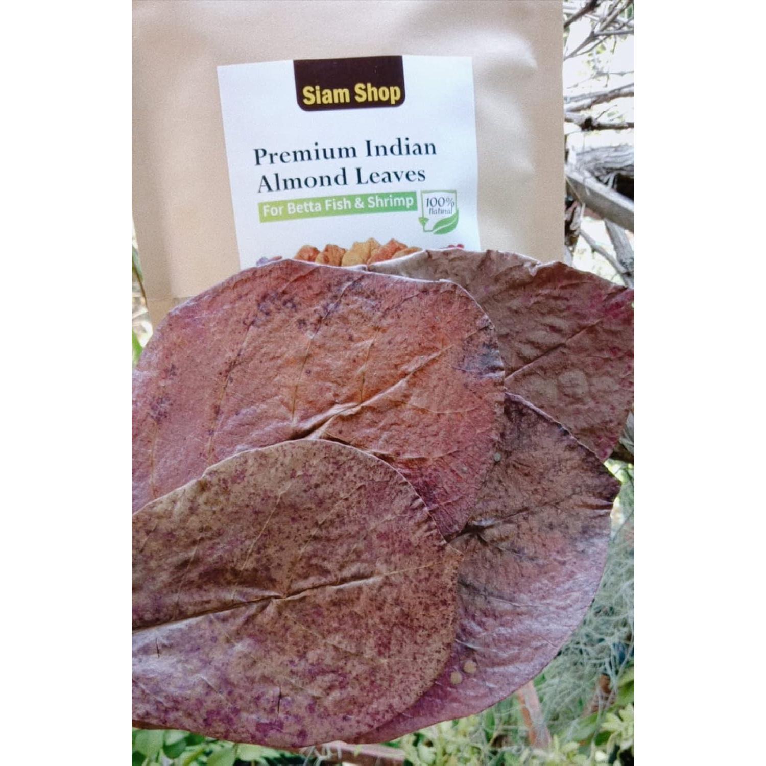 Hojas de Almendra India SIAM 50g para Peces Betta y Camarones