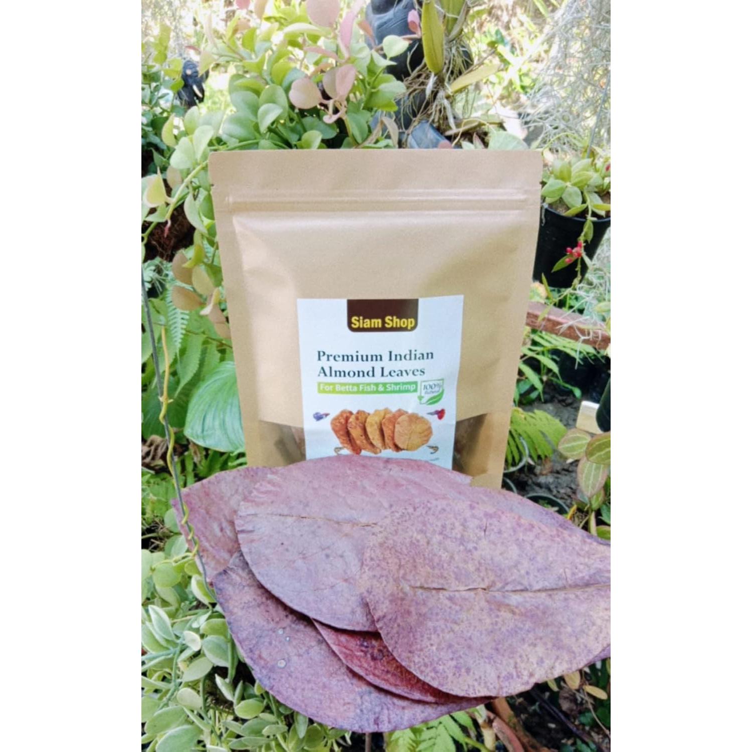 Hojas de Almendra India SIAM 50g para Peces Betta y Camarones