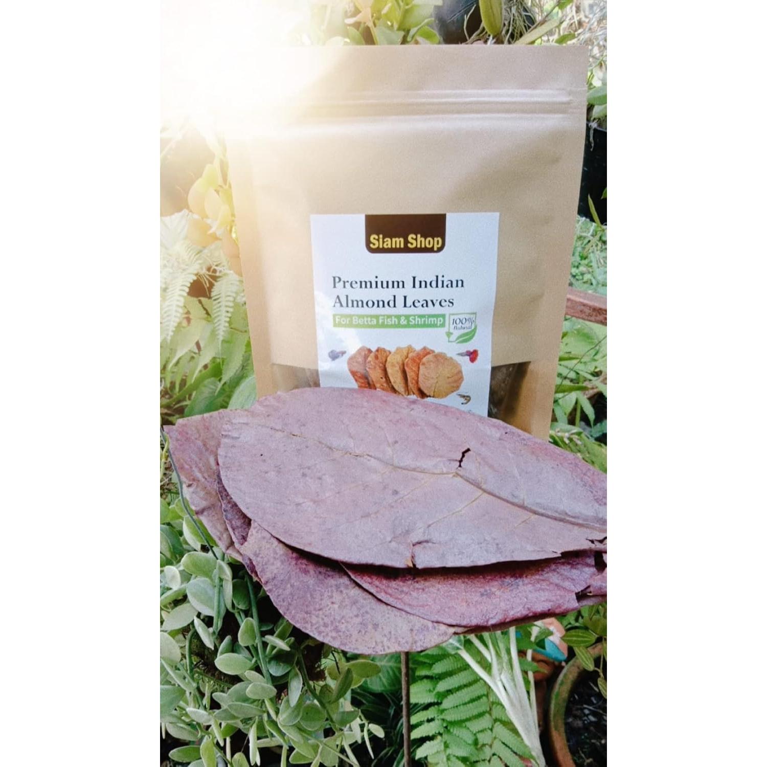 Hojas de Almendra India SIAM 50g para Peces Betta y Camarones