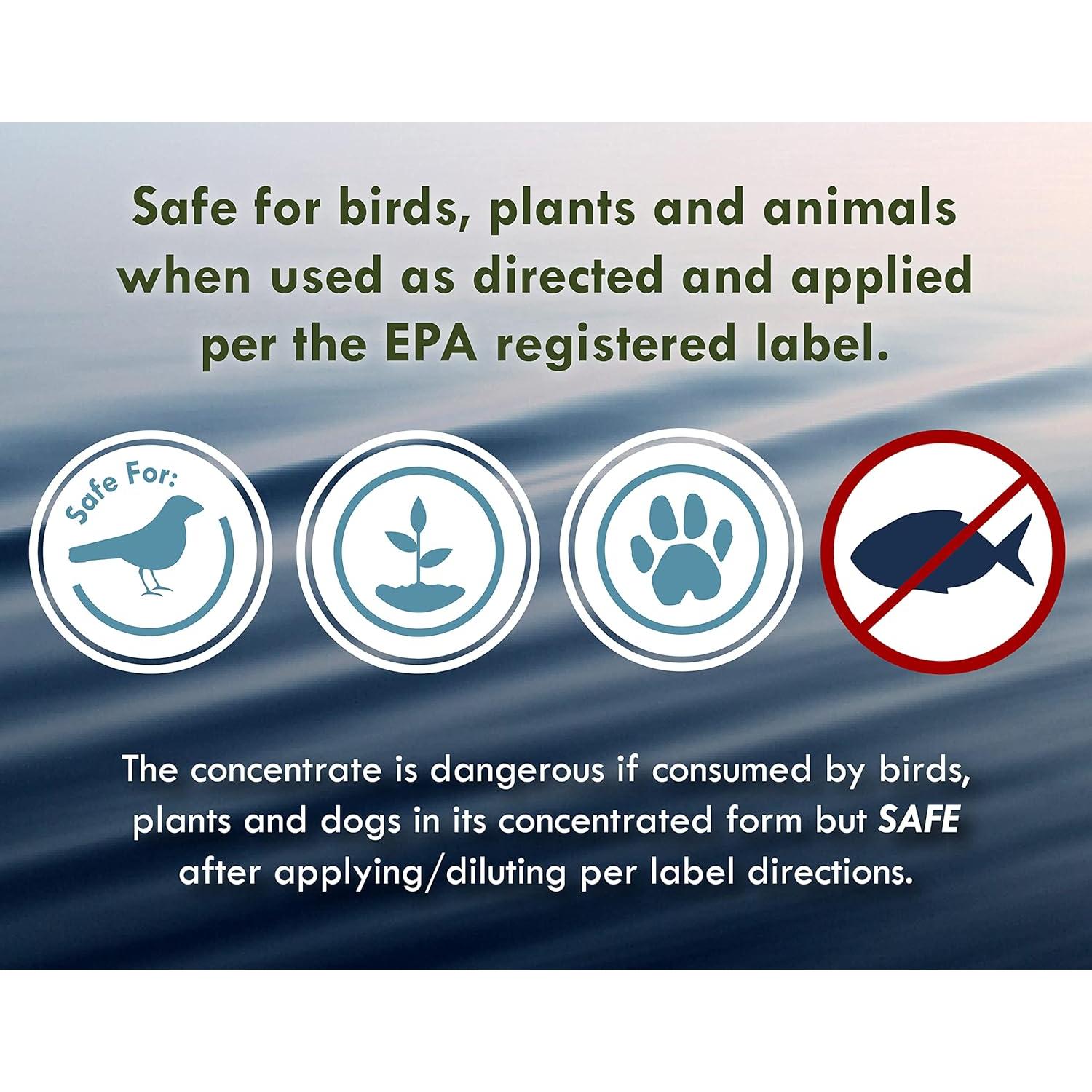 Algicida y Clarificador Sanco 0.95L para Estanques y Fuentes