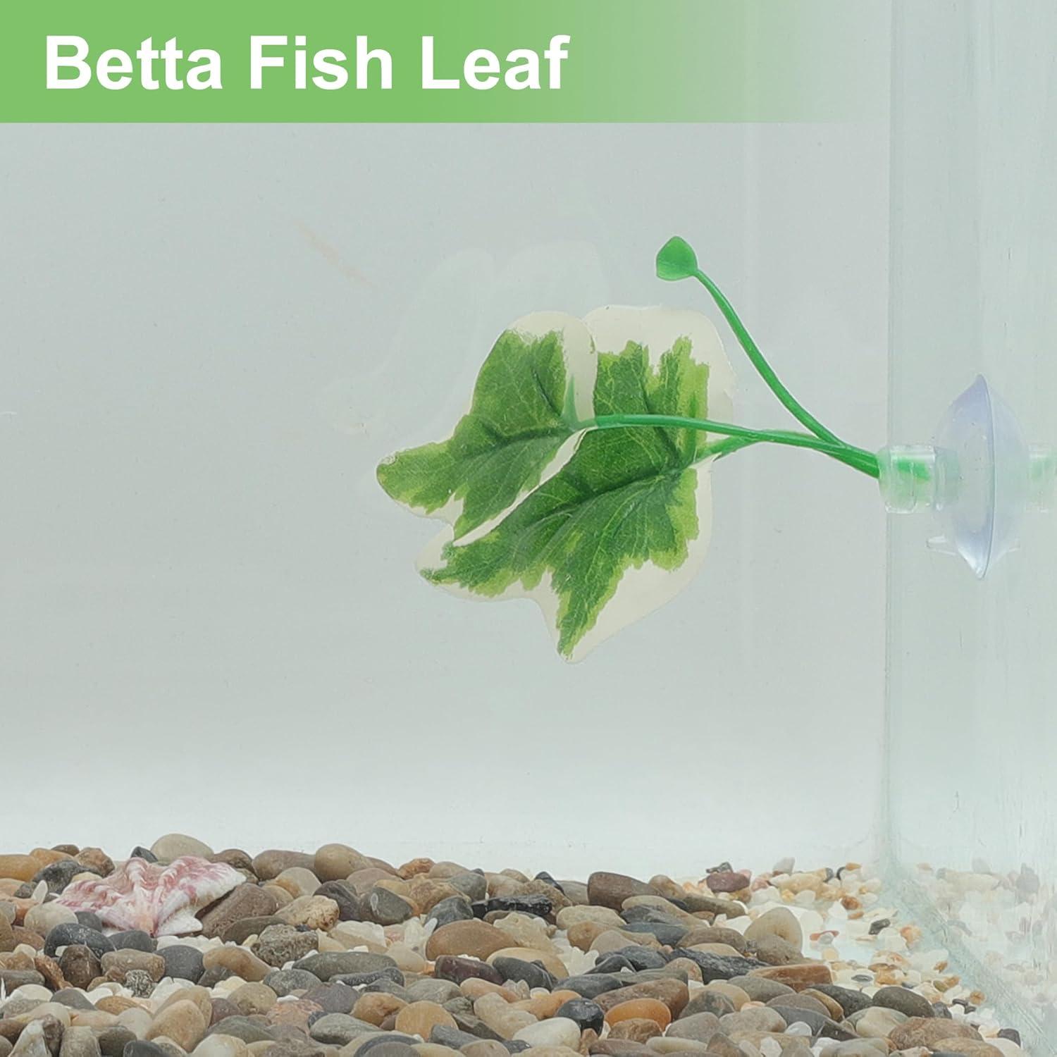 Hoja de pez Betta CAPASTEC - Simulación hábitat natural 1 pc