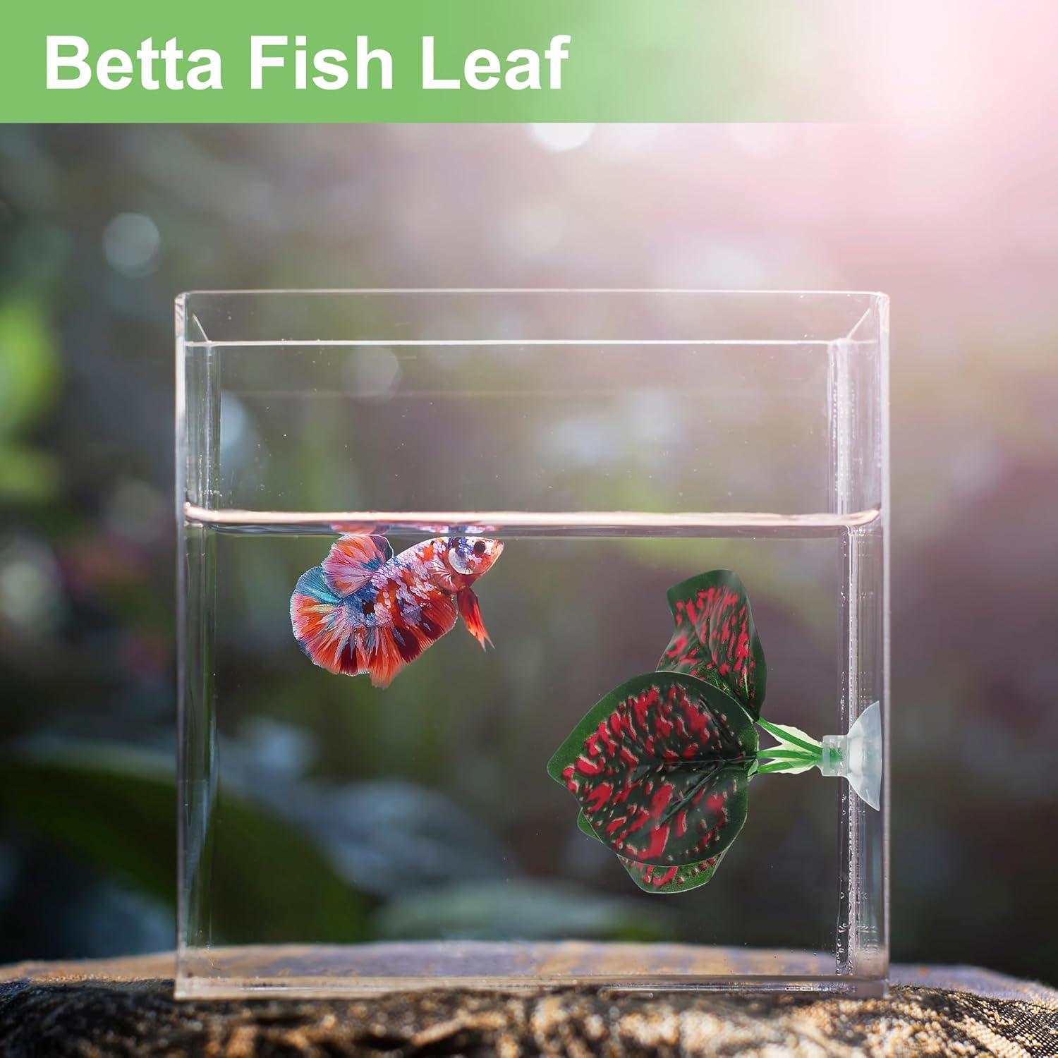 Hojas de pez Betta CAPASTEC - Simulación hábitat natural 3 pcs