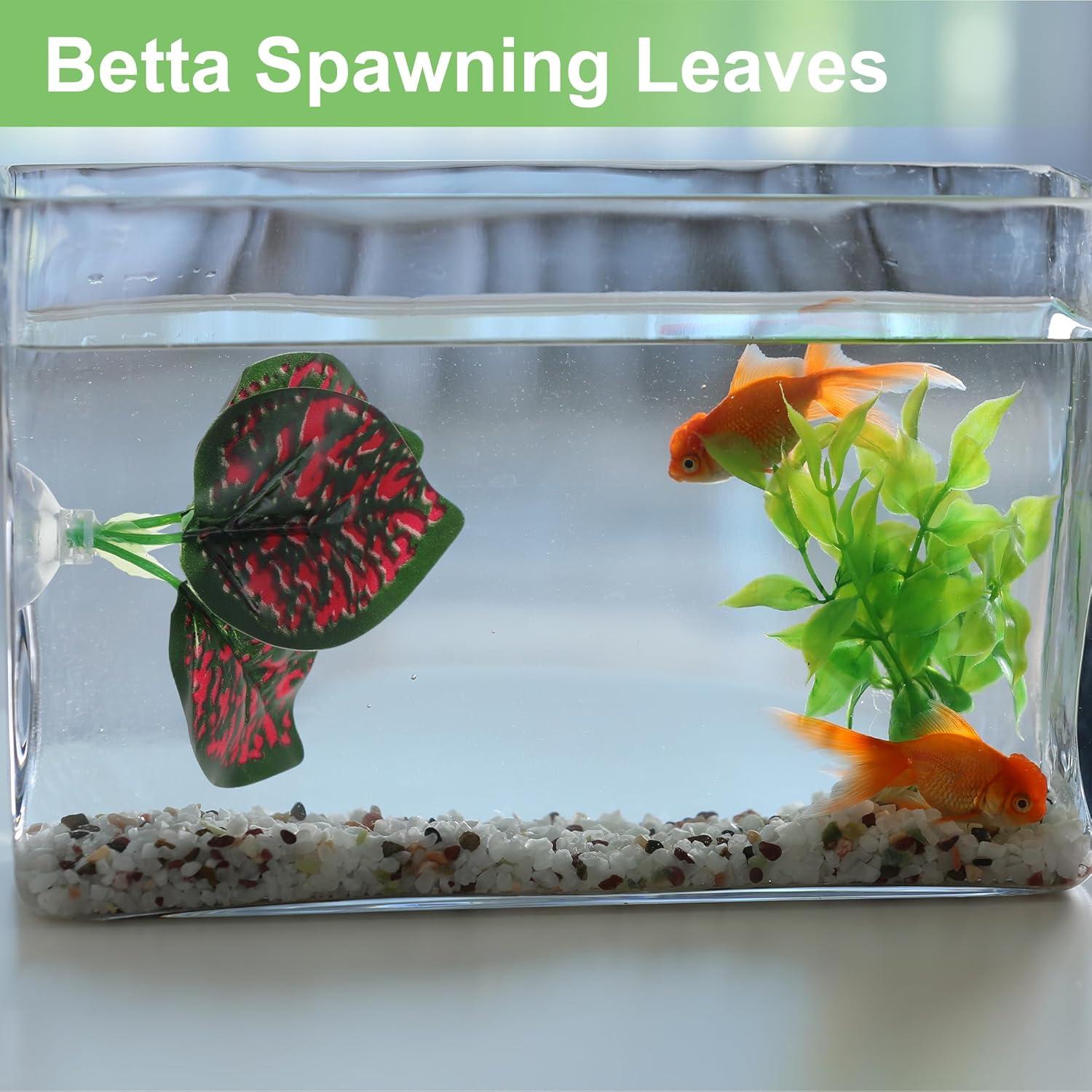 Hojas de pez Betta CAPASTEC - Simulación hábitat natural 3 pcs
