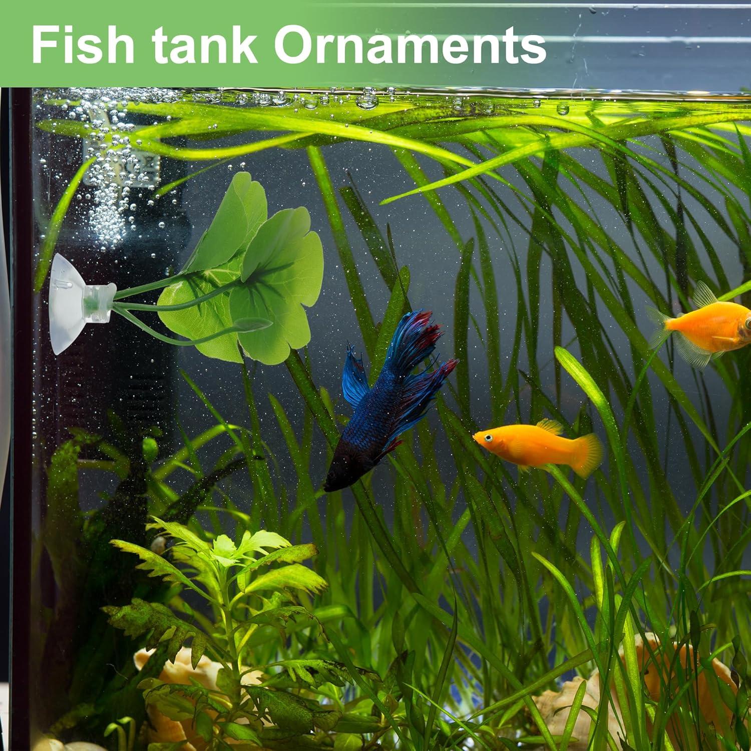 Hoja de pez Betta CAPASTEC - Simulación hábitat natural verde