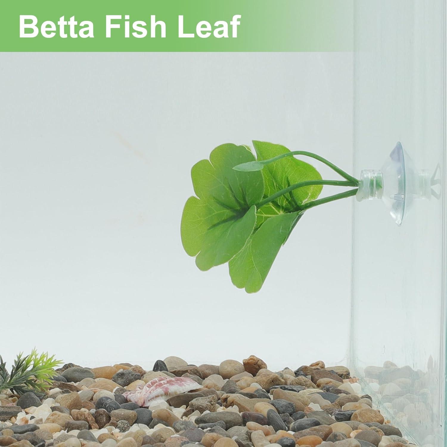 Hoja de pez Betta CAPASTEC - Simulación hábitat natural verde