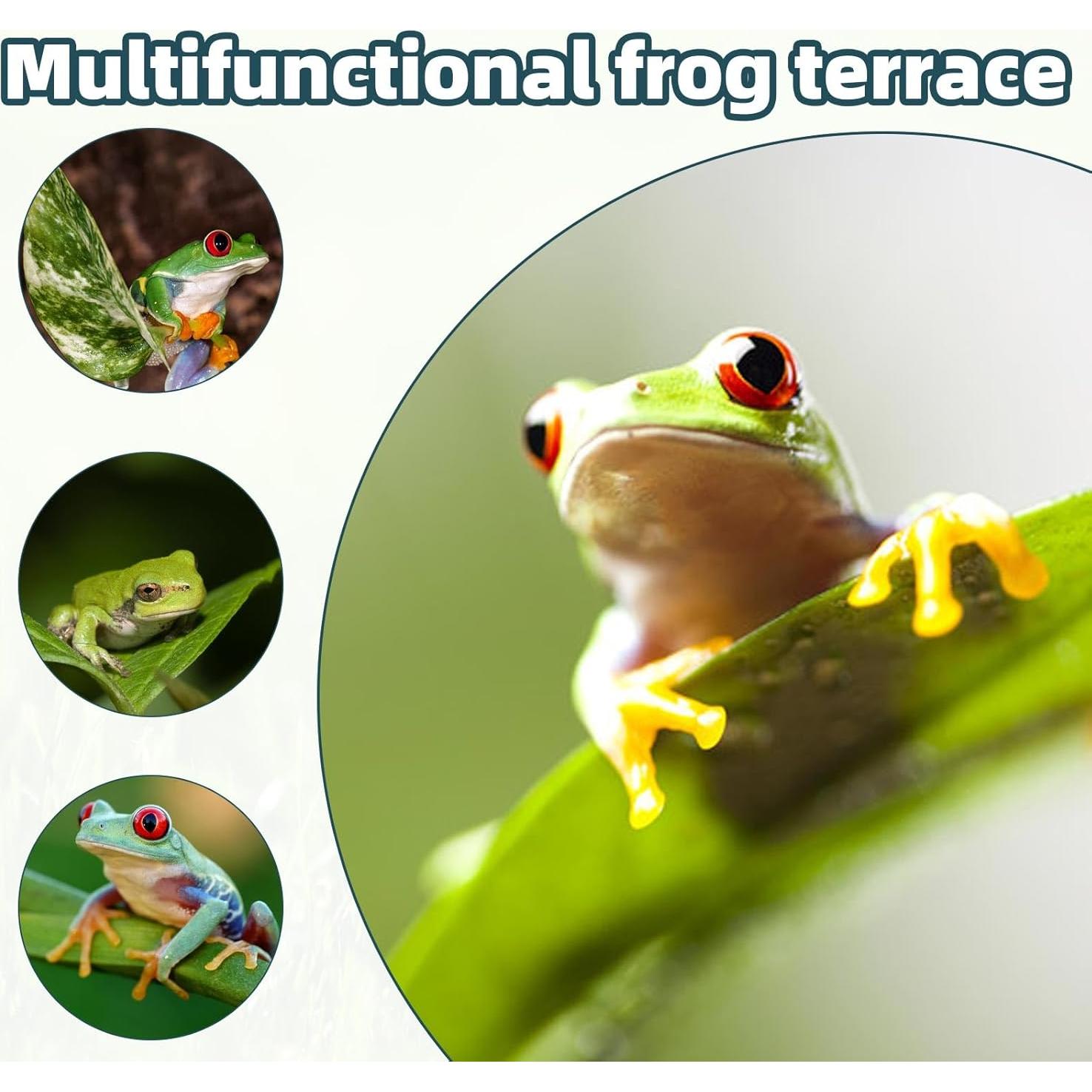 3 Piezas Accesorios para Acuario Sapo de Árbol Gosknor 18.5x7.3cm