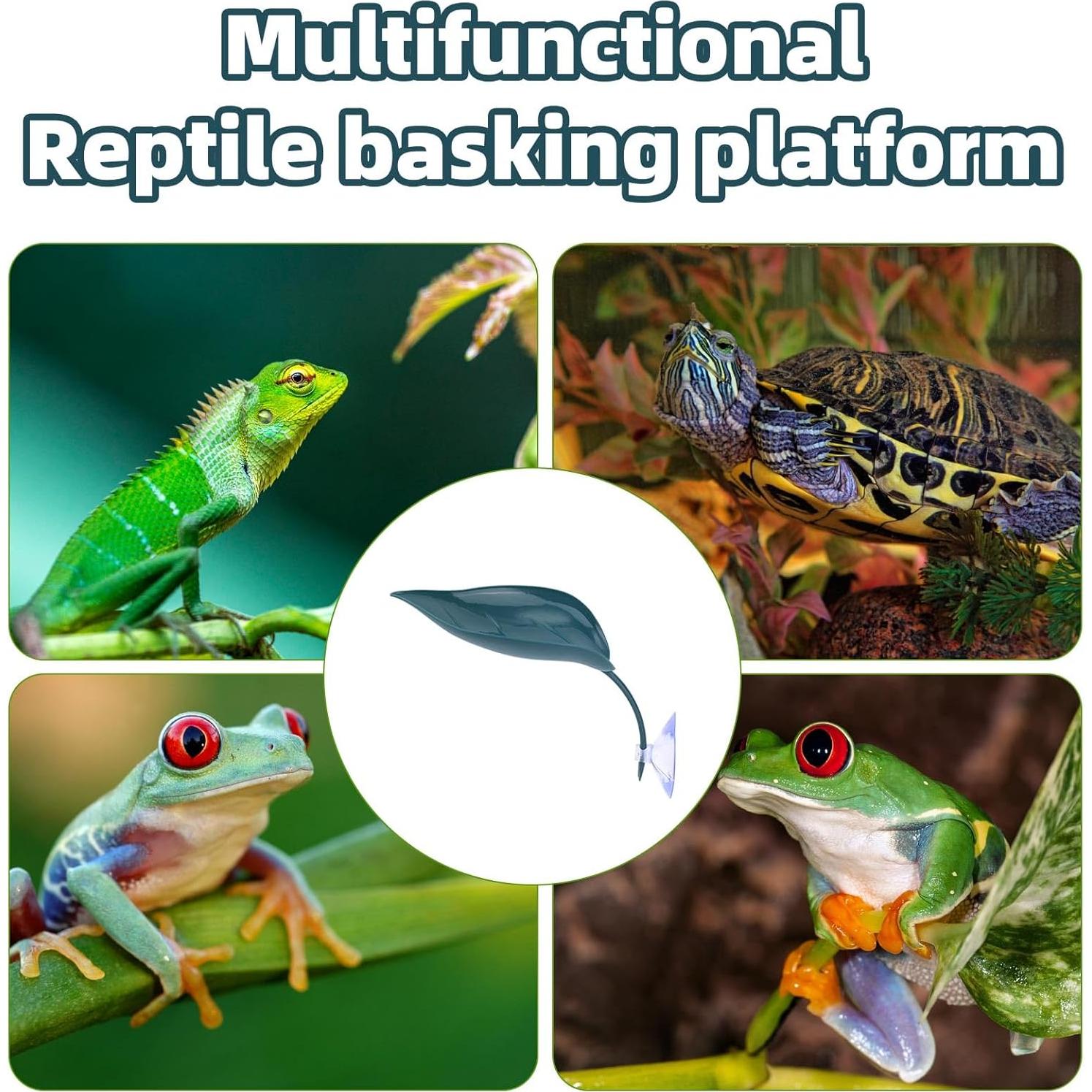 3 Piezas Accesorios para Acuario Sapo de Árbol Gosknor 18.5x7.3cm