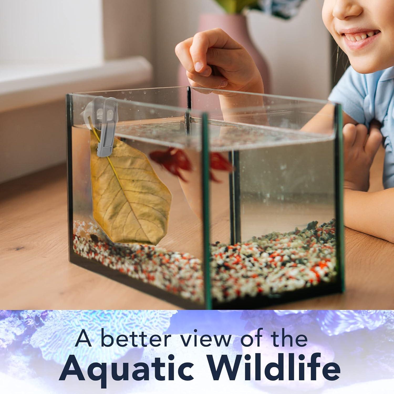 Alimentador de Clip con Ventosa JOR para Bettas y Tortugas