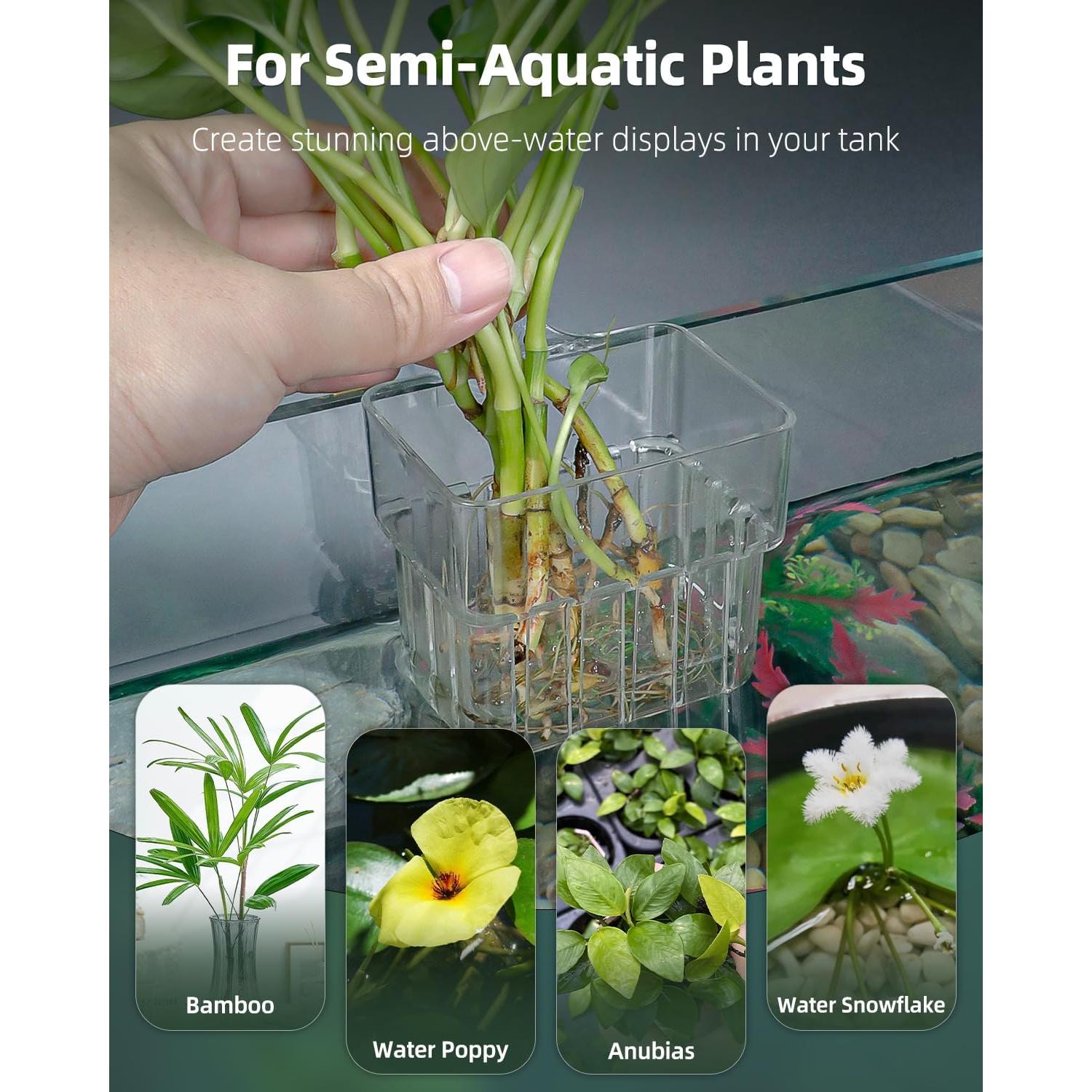 Soporte de Planta de Acuario Pawfly 2 Pcs Acrílico Transparente