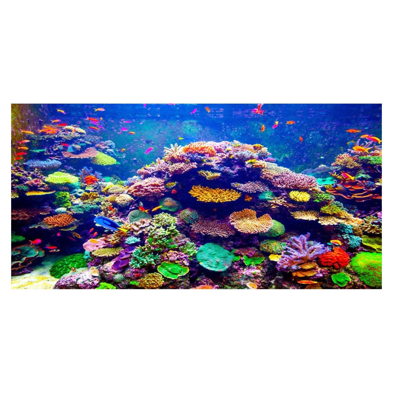 Fondo de Acuario Temático 90x45cm AWERT Coral Tropical
