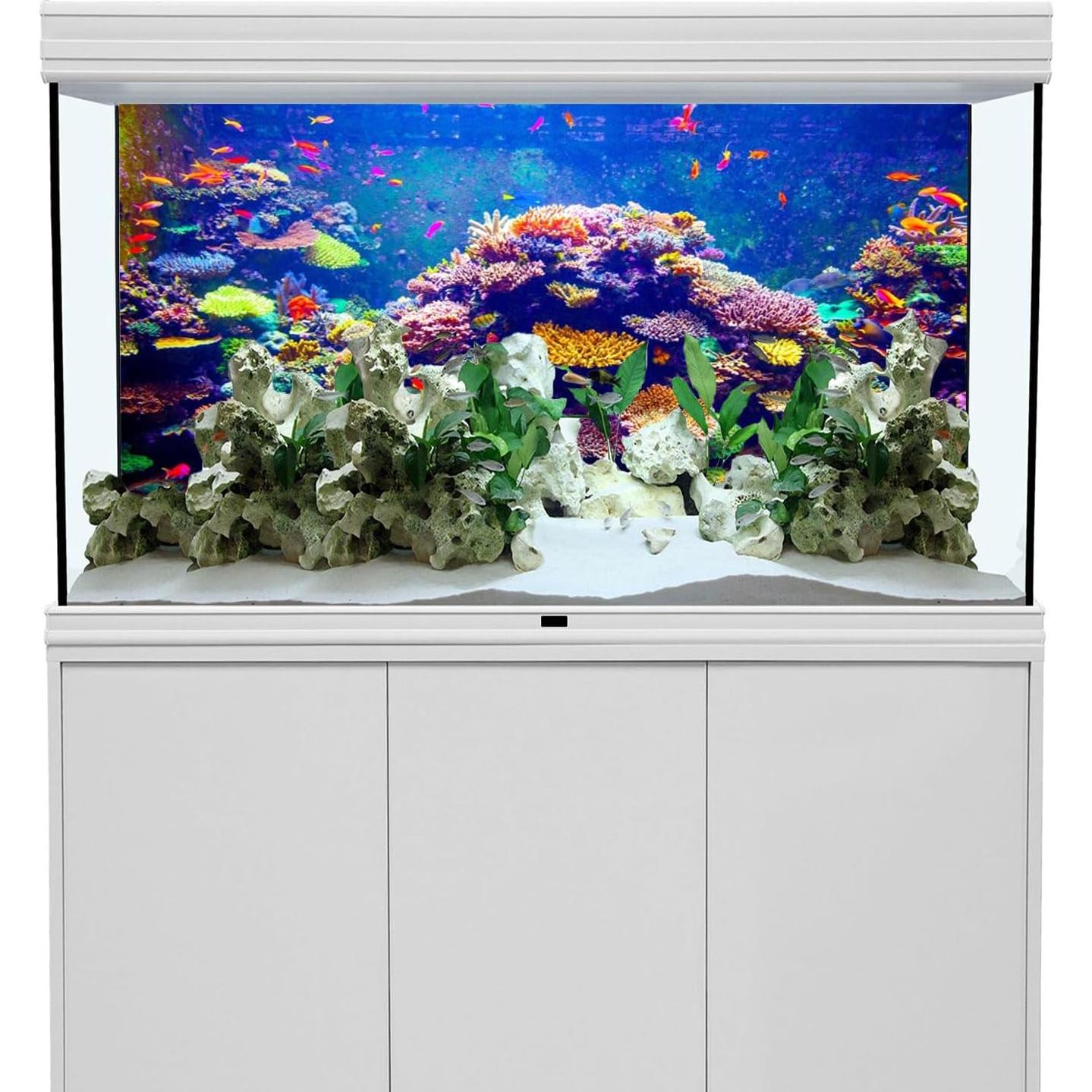 Fondo de Acuario Temático 90x45cm AWERT Coral Tropical