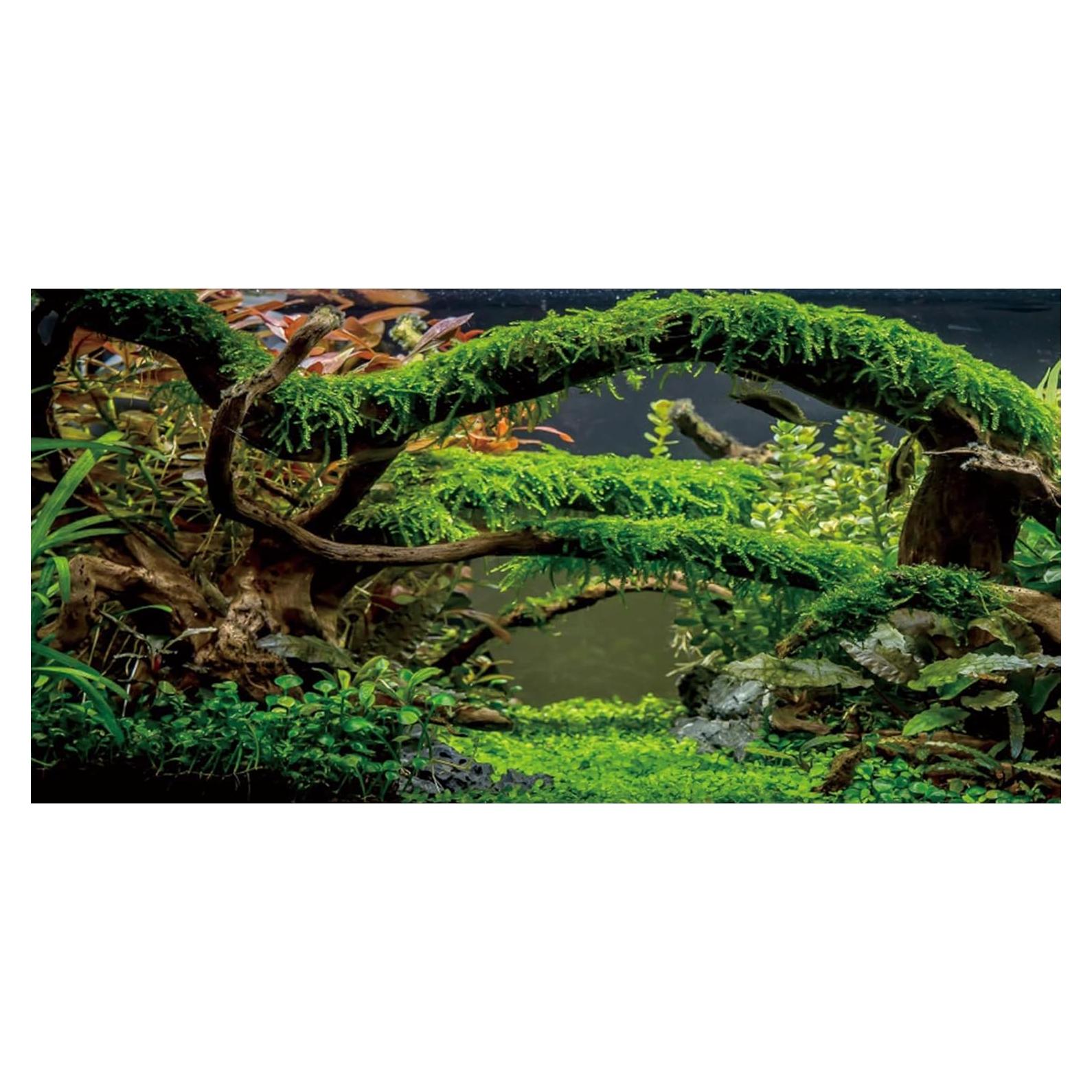 Fondo de Acuario 120x60 cm AWERT Vinilo Realista