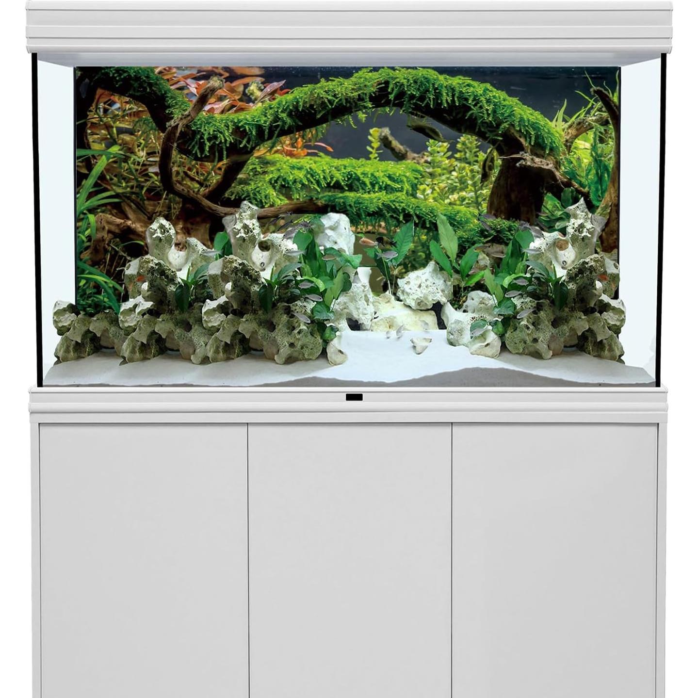 Fondo de Acuario 120x60 cm AWERT Vinilo Realista