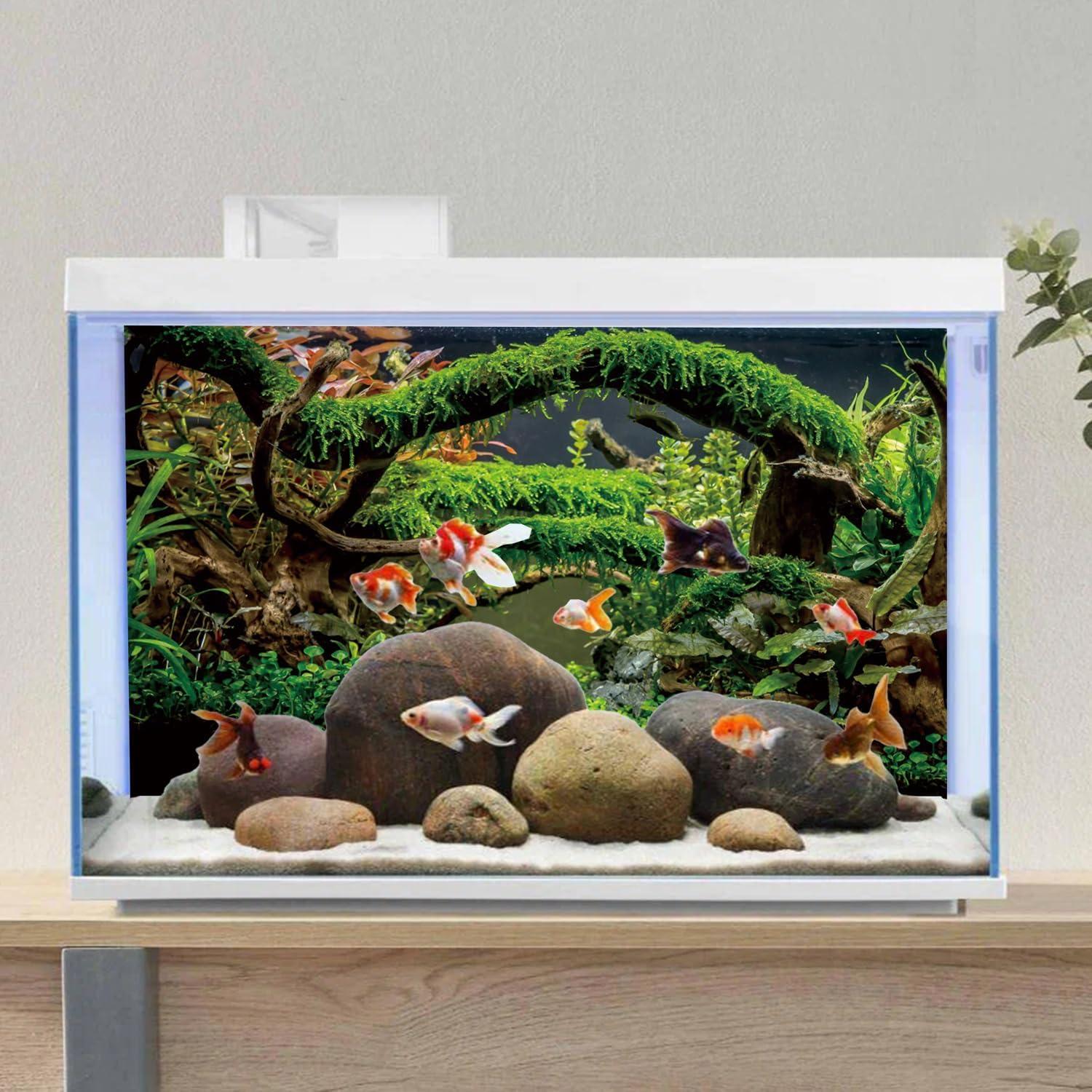 Fondo de Acuario 120x60 cm AWERT Vinilo Realista