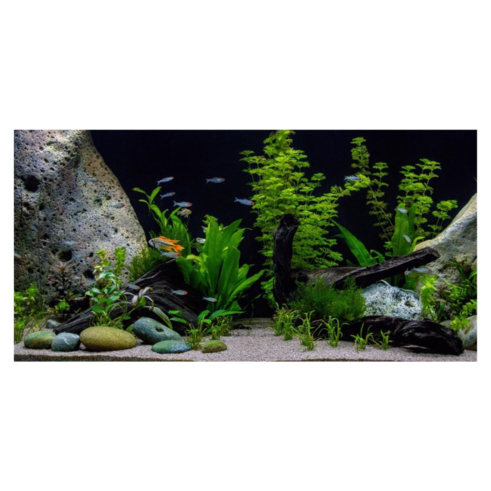 Fondo de Acuario Vinilo AWERT 180x60cm Diseño Natural
