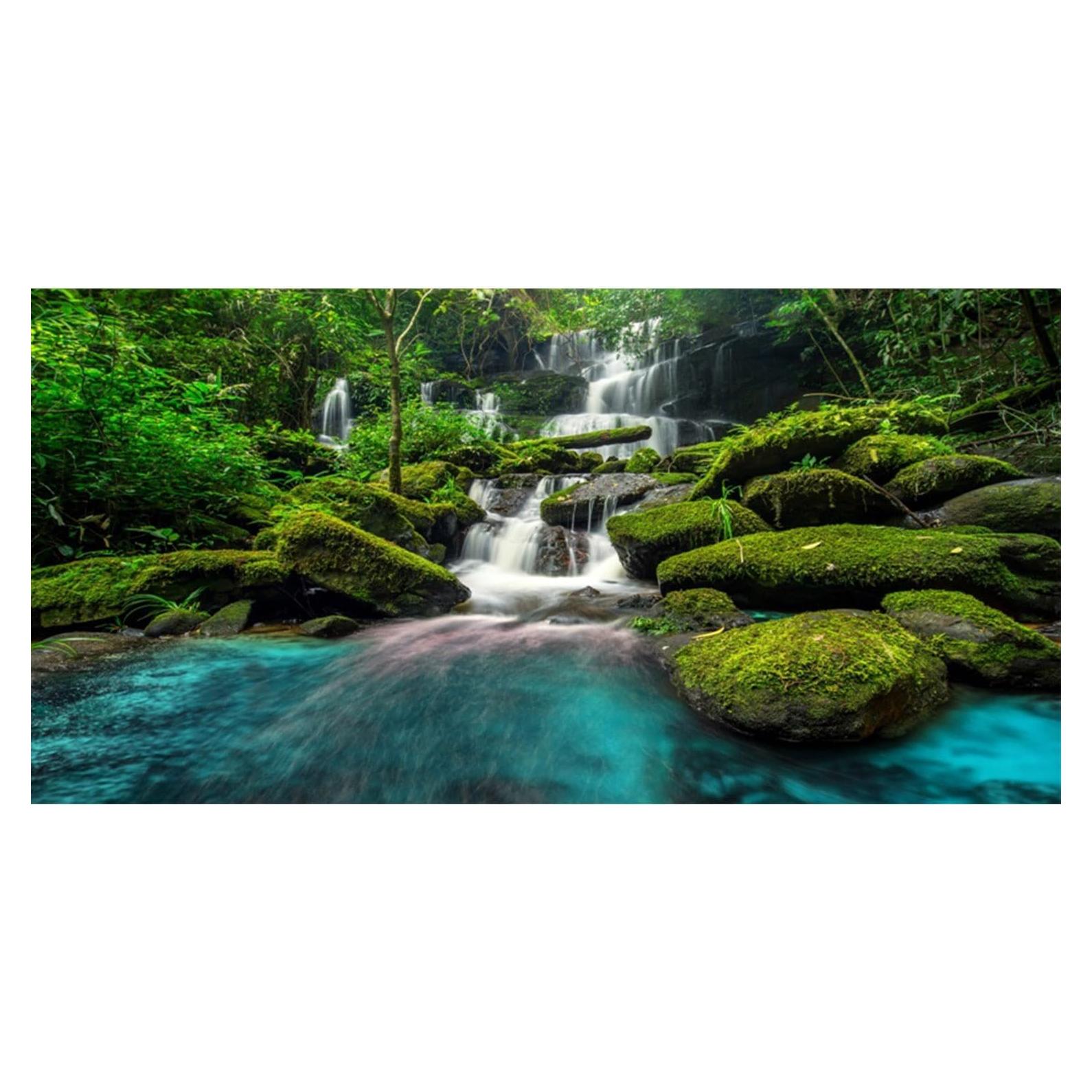 Fondo de Acuario Terrario AWERT 120x45cm Selva Tropical