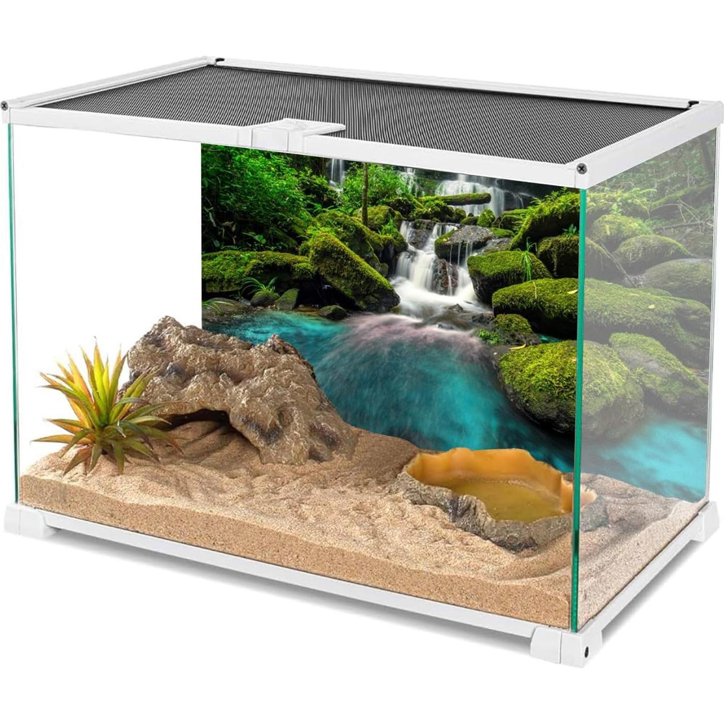 Fondo de Acuario Terrario AWERT 120x45cm Selva Tropical