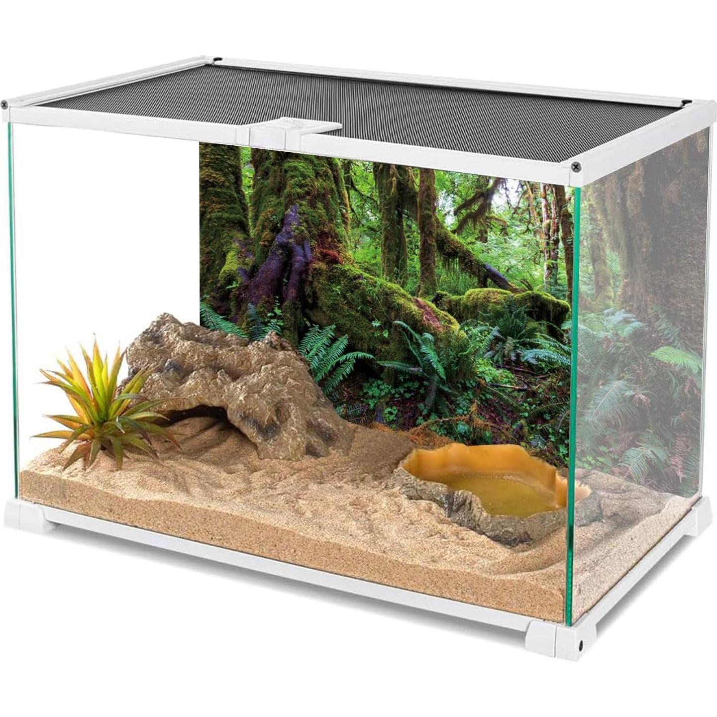 Fondo de Acuario Terrario AWERT 75x30 cm Bosque Tropical