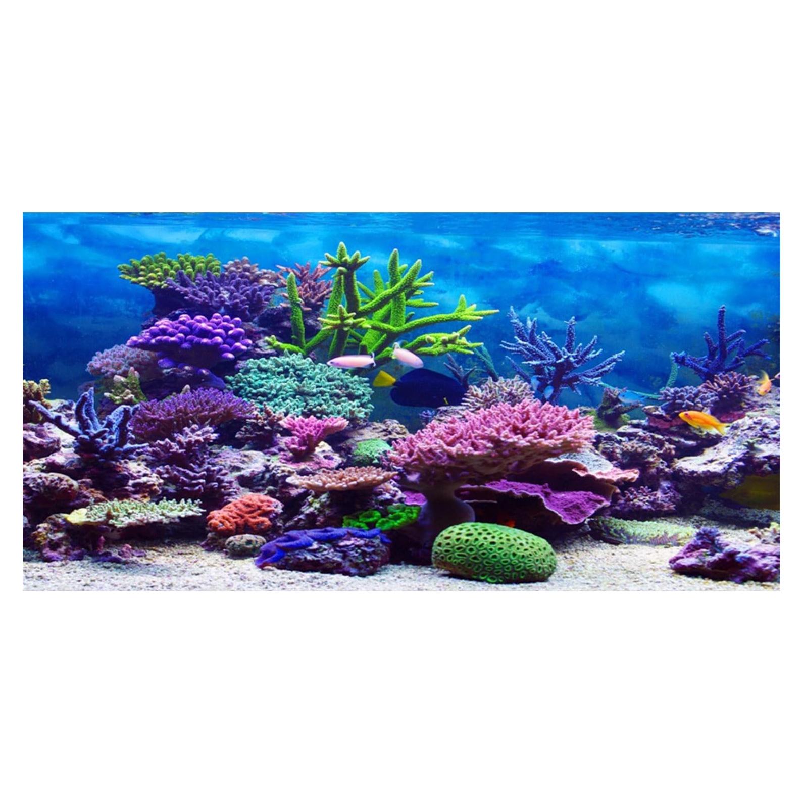 Fondo de Acuario AWERT 180x60 cm Coral Colorido
