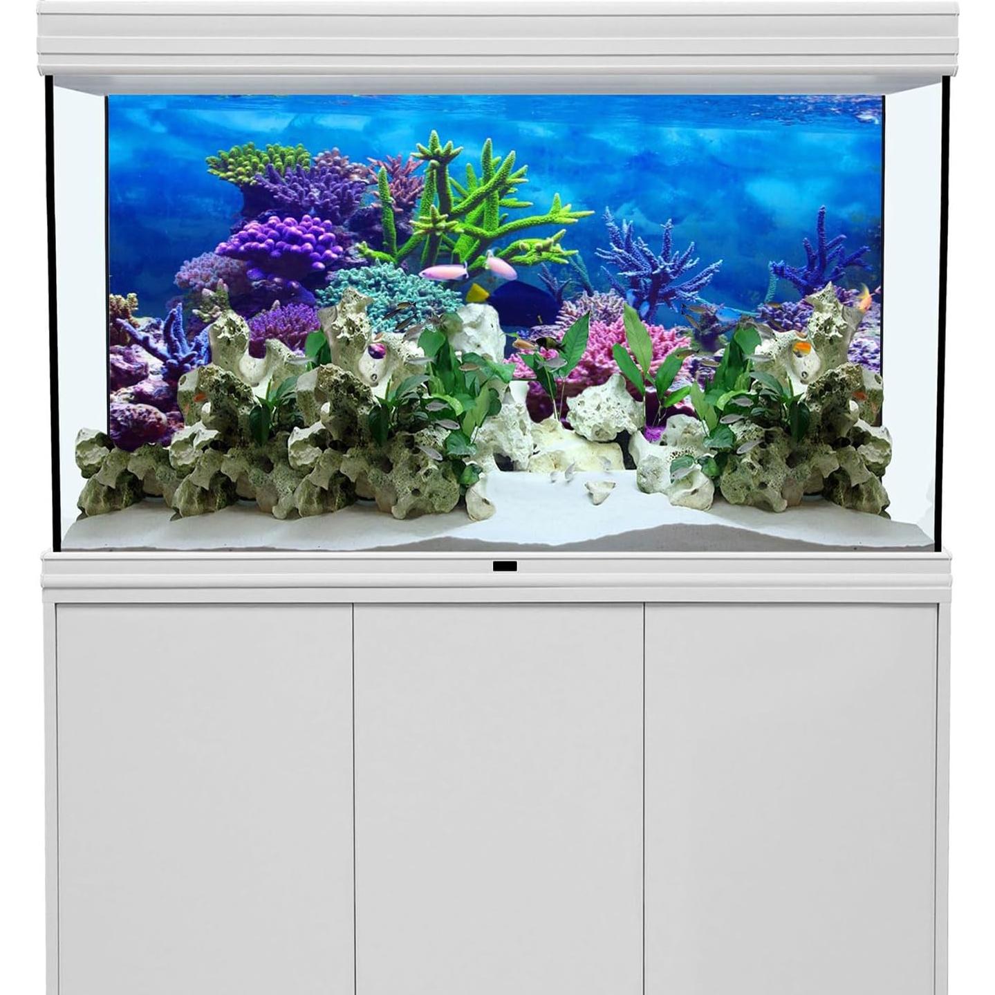 Fondo de Acuario AWERT 180x60 cm Coral Colorido