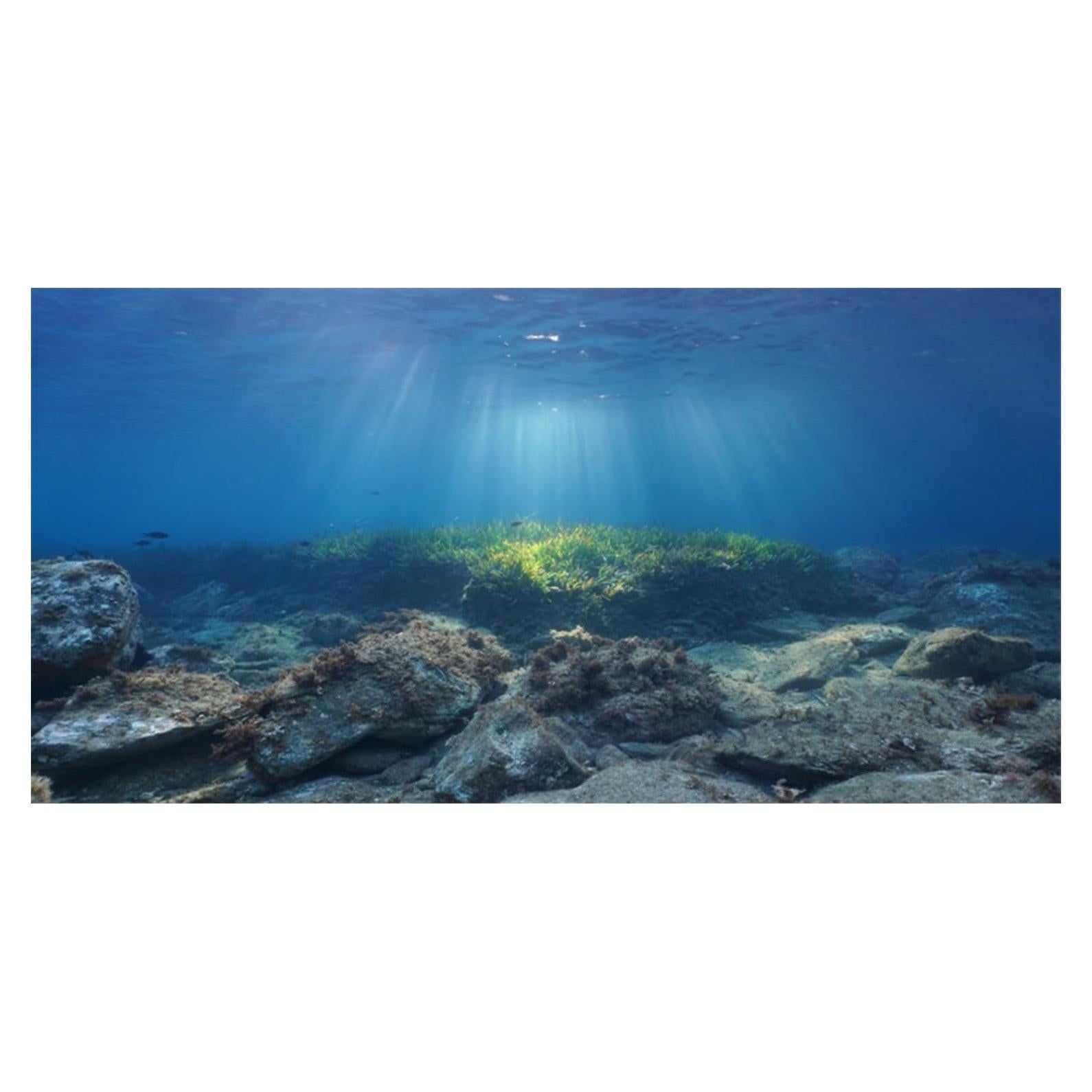 Fondo de Acuario AWERT Ocean Floor 120x50 cm Vinilo