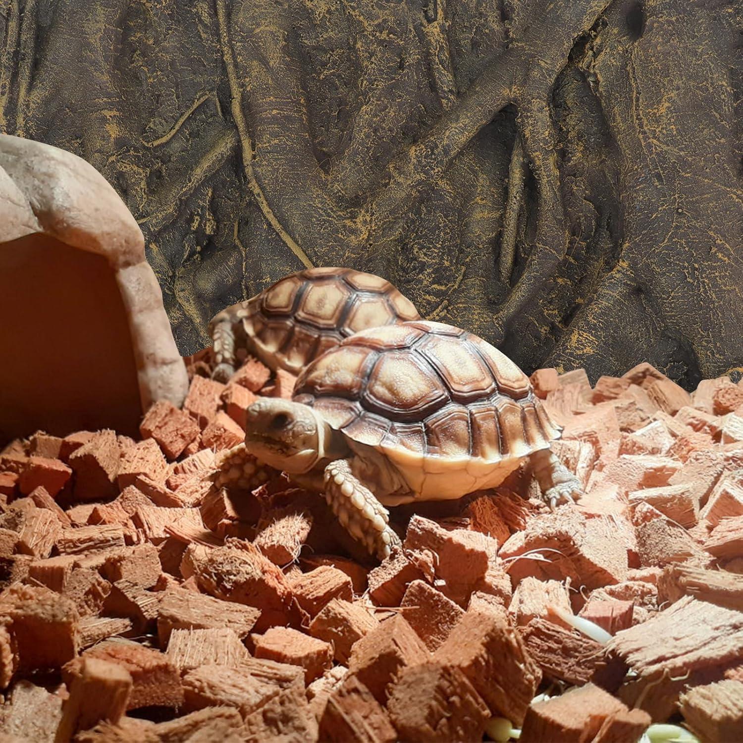 Fondo 3D para Reptiles Totority 60x45 cm - Decoración Acuario