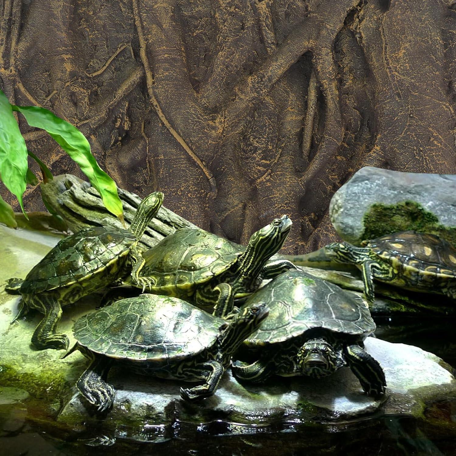 Fondo 3D para Reptiles Totority 60x45 cm - Decoración Acuario