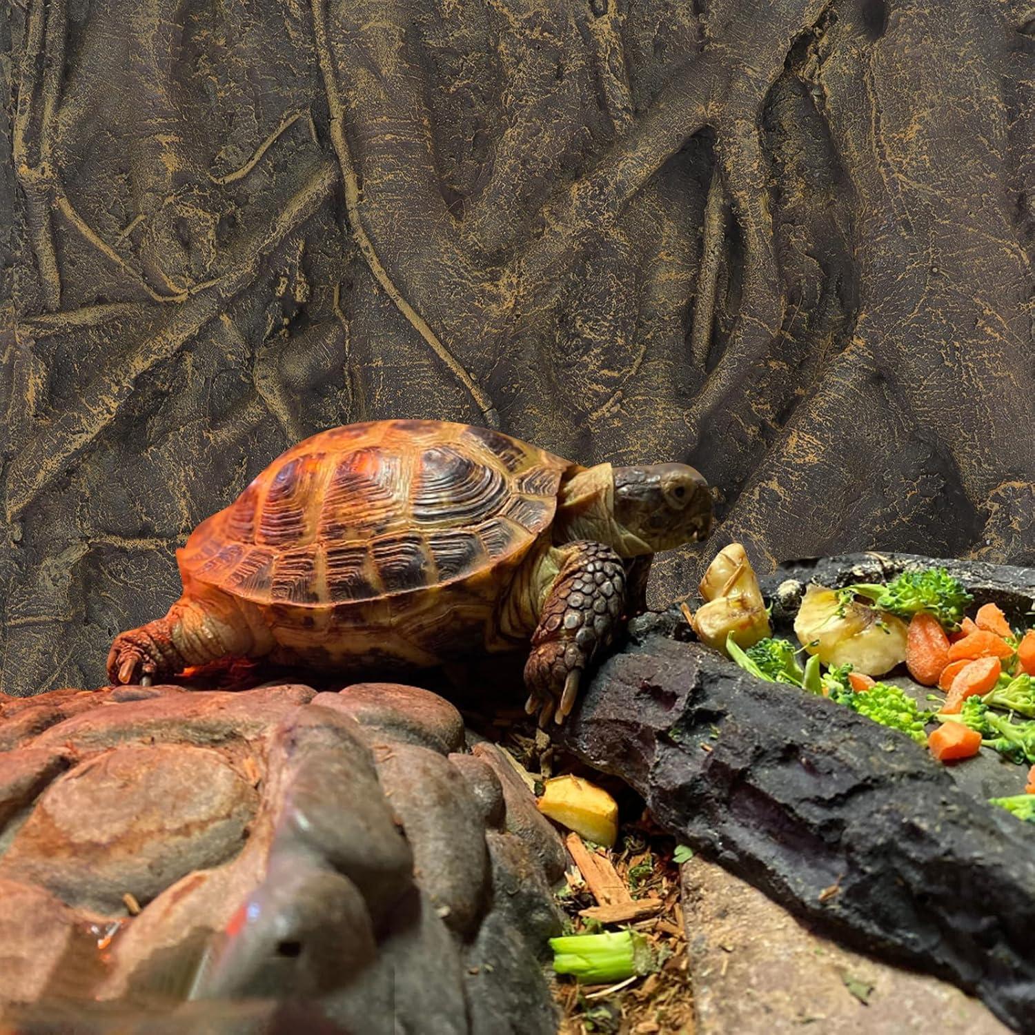 Fondo 3D para Reptiles Totority 60x45 cm - Decoración Acuario