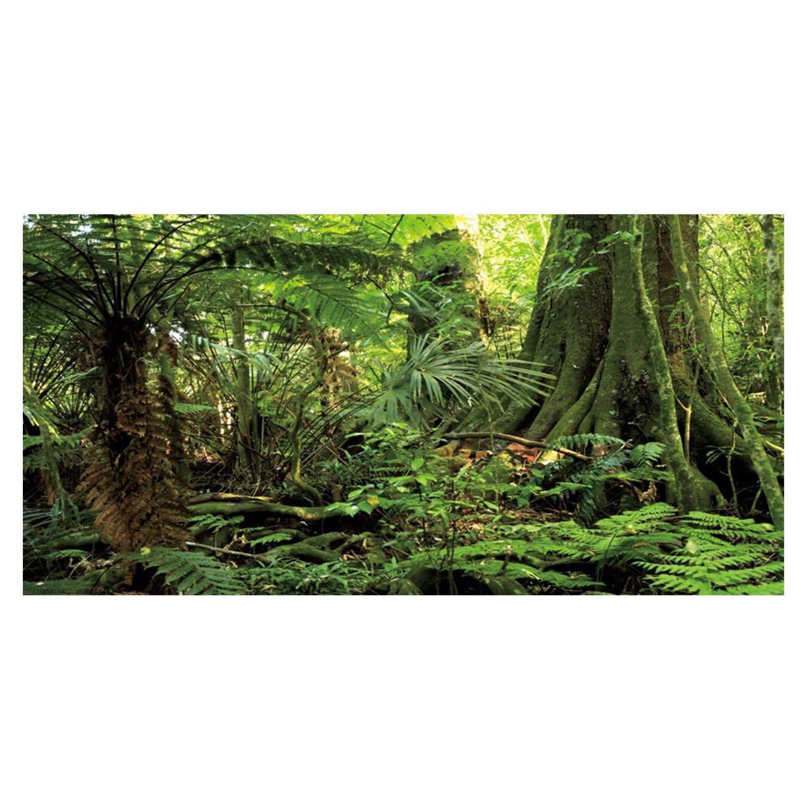 Fondo de Acuario Terrario AWERT 120x60cm Bosque Verde