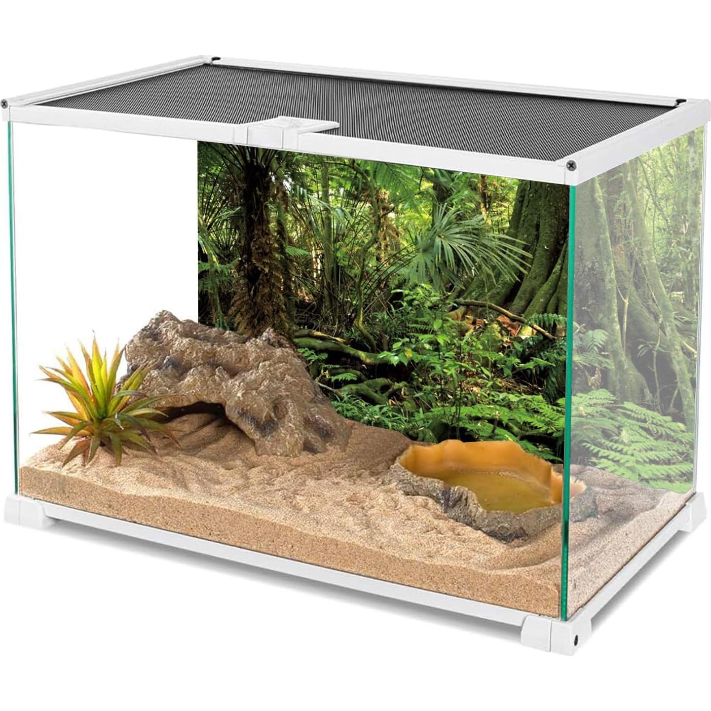 Fondo de Acuario Terrario AWERT 120x60cm Bosque Verde