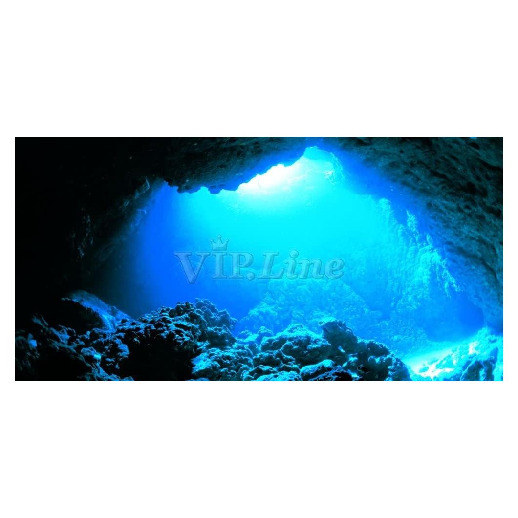Póster de Fondo de Acuario PVC 61x30cm Cueva Luz Solar