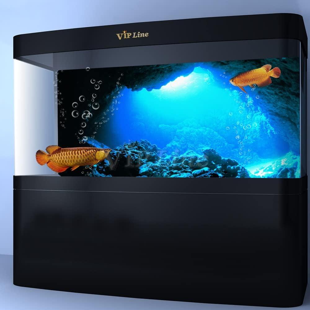 Póster de Fondo de Acuario PVC 61x30cm Cueva Luz Solar