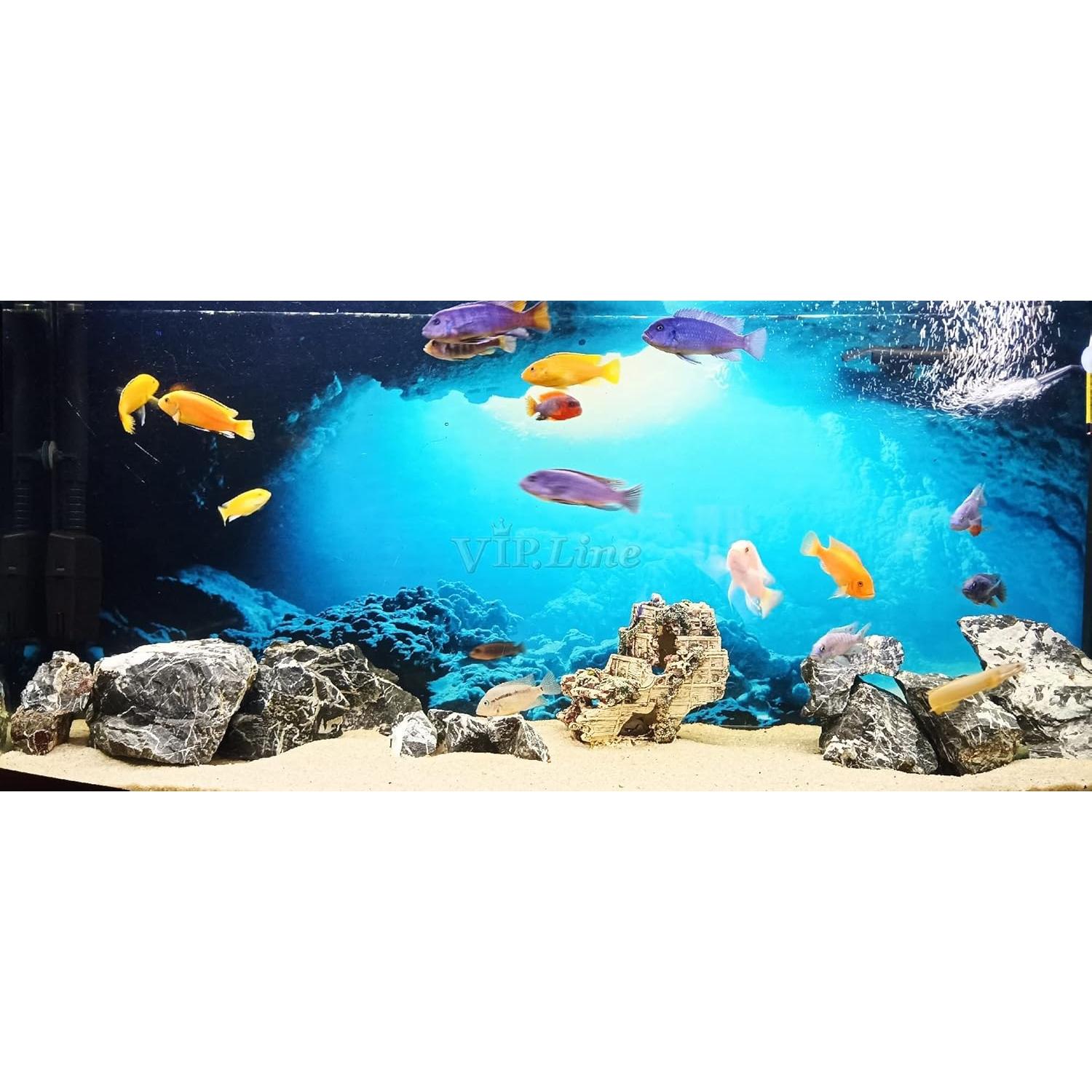 Póster de Fondo de Acuario PVC 61x30cm Cueva Luz Solar