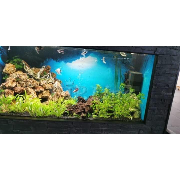 Póster de Fondo de Acuario PVC 61x30cm Cueva Luz Solar