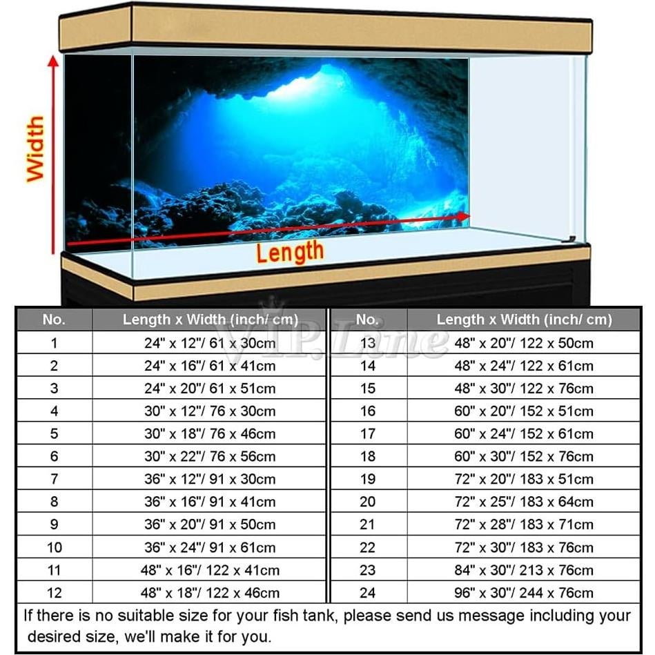Póster de Fondo de Acuario PVC 61x30cm Cueva Luz Solar