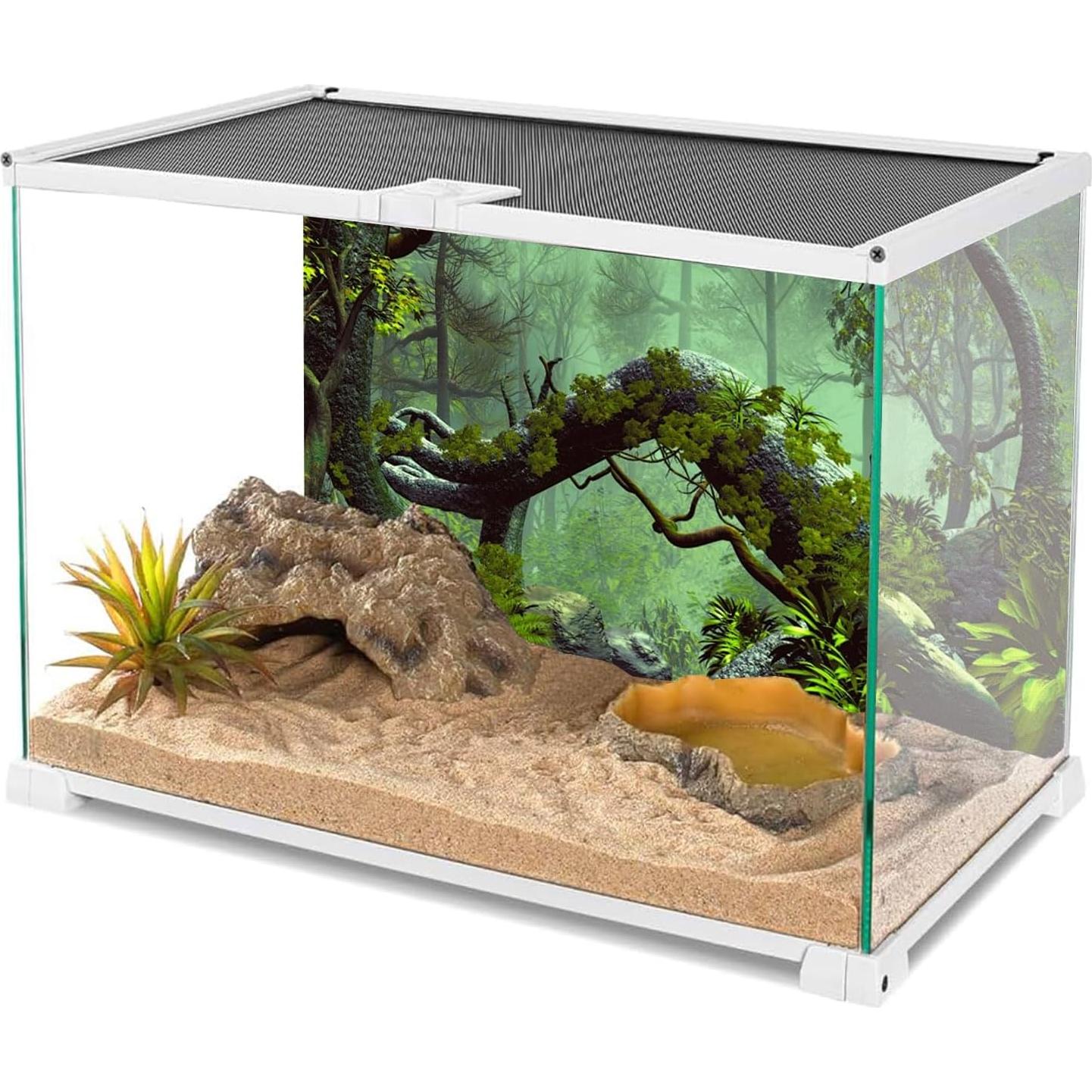 Fondo de Terrario AWERT 120x45cm Bosque Nublado Poliester