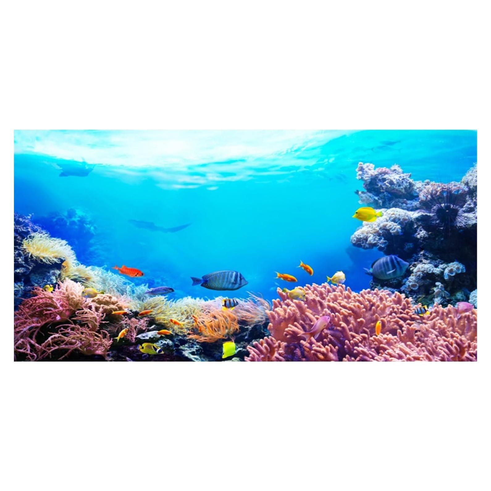 Fondo de Acuario Vinilo AWERT 120x60 cm Coral Tropical