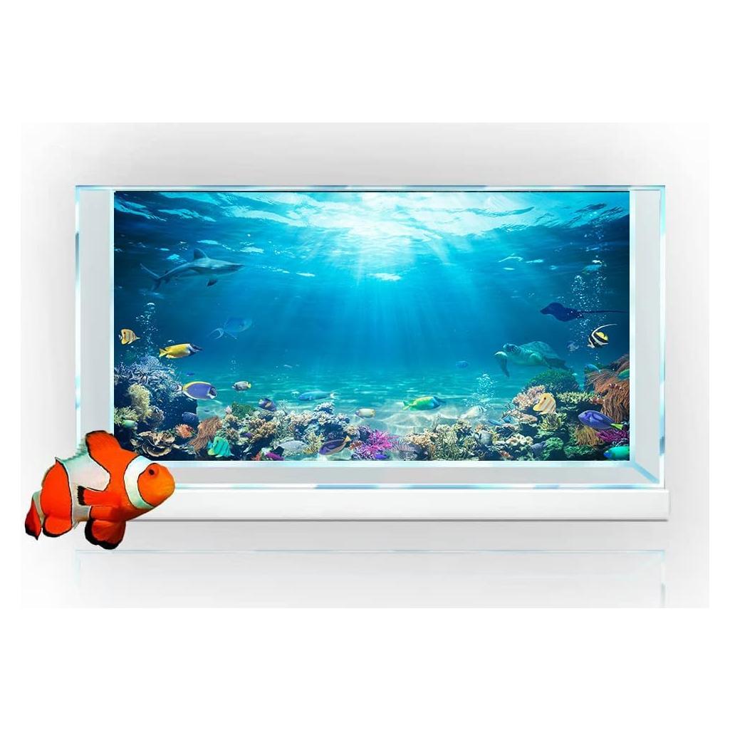 Fondo de Acuario Dtekoj 120x60cm Coral Azul con Cinta