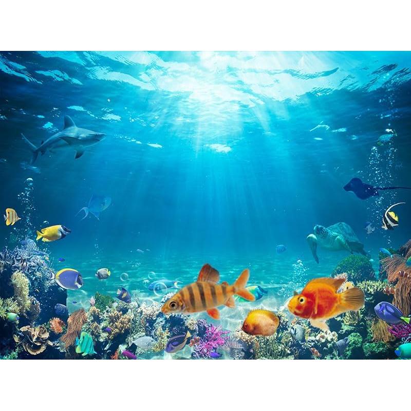 Fondo de Acuario Dtekoj 120x60cm Coral Azul con Cinta