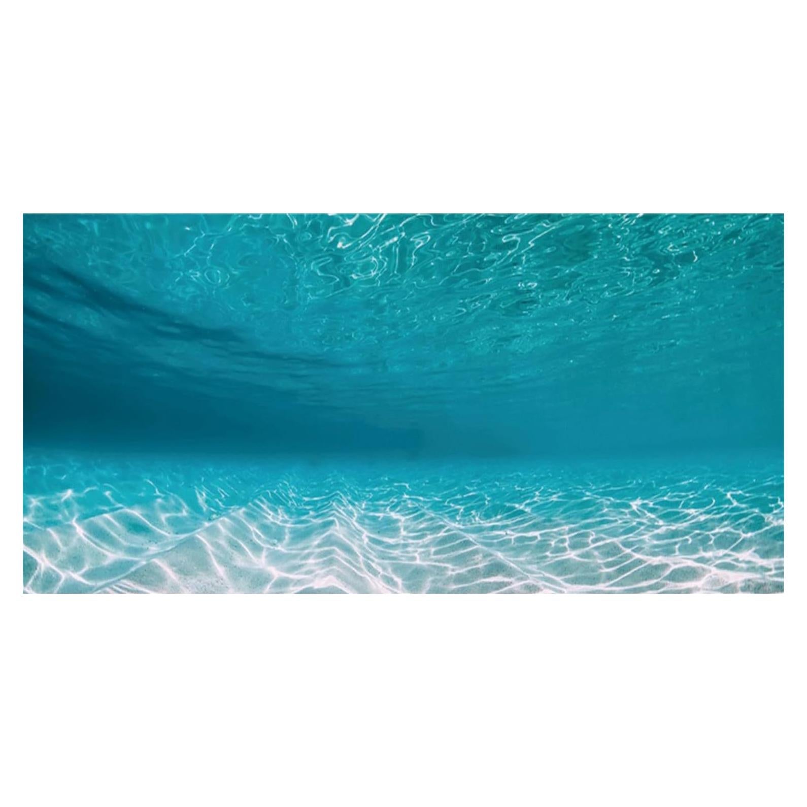 Fondo de Acuario Submarino AWERT 76x46 cm Vinilo HD