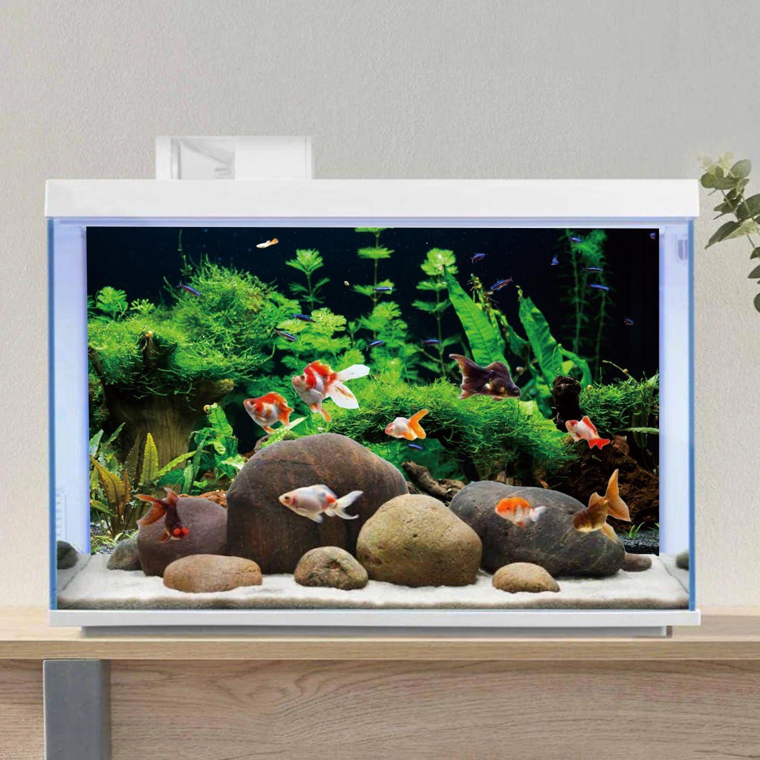 Fondo de Acuario AWERT 60x40 cm Vinilo Reutilizable