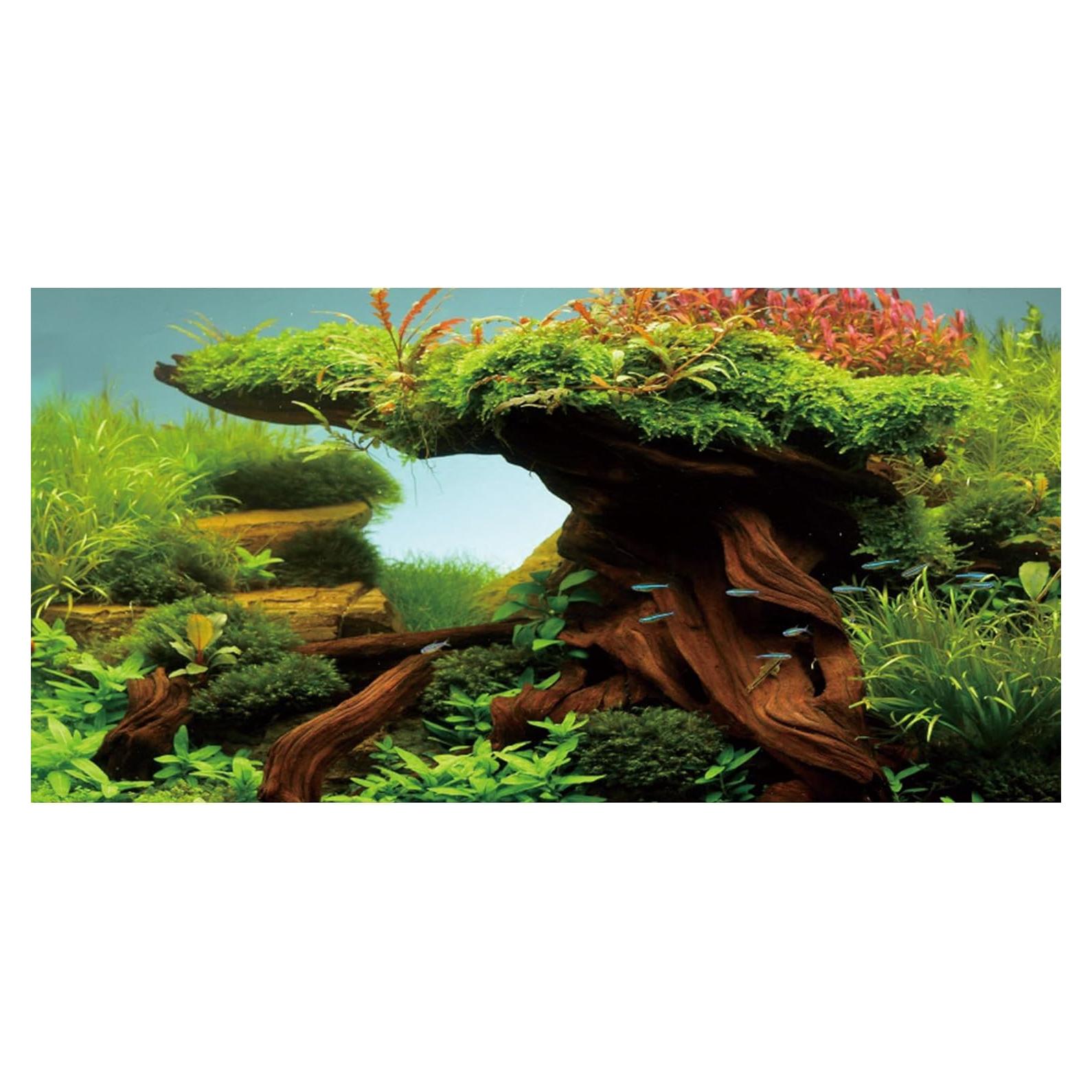 Fondo de Acuario Vinilo AWERT 120x60 cm Realista