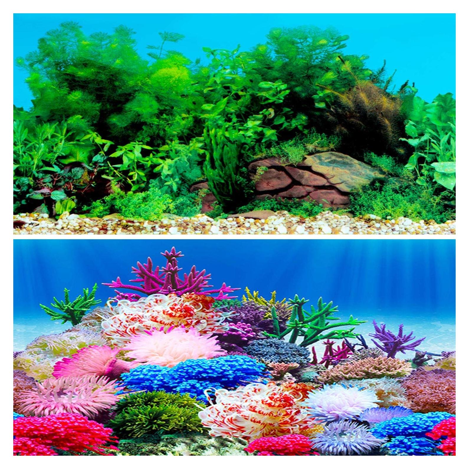 Fondo de Acuario Amalong Coral Submarino 38 x 25 cm