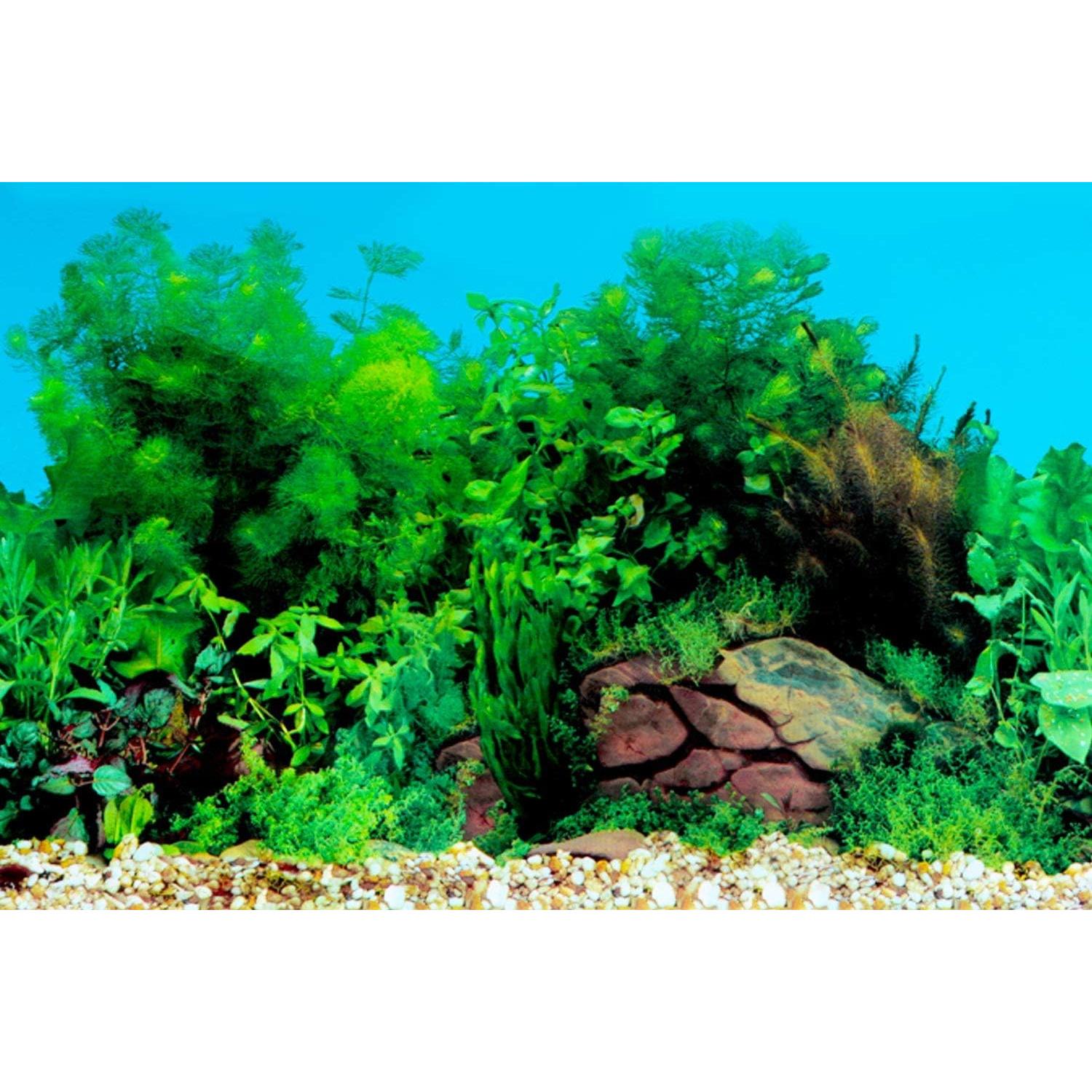 Fondo de Acuario Amalong Coral Submarino 38 x 25 cm