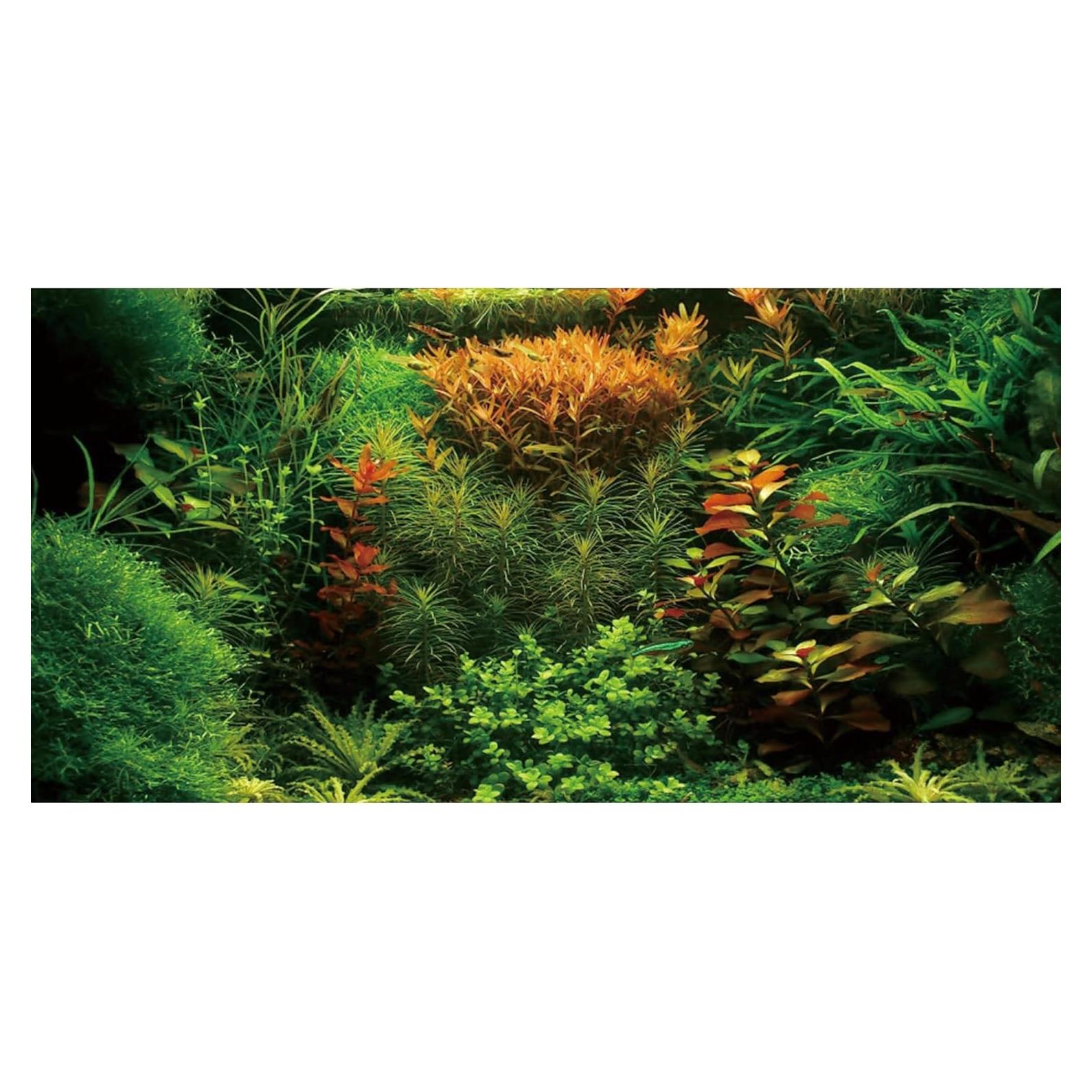 Fondo de Acuario Vinilo AWERT 90x60 cm Plantas Acuáticas