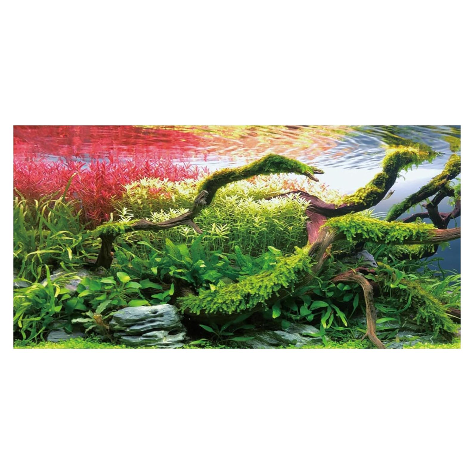 Fondo de Acuario Vinilo AWERT 120x45 cm Ramas y Piedras